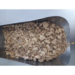 Rdestowiec Japoński korzeń Super cięty